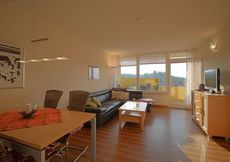 Apartment 347