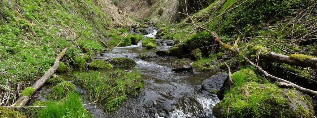 Wandern im Oberharz!