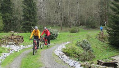 Sportlich den Harz entdecken!